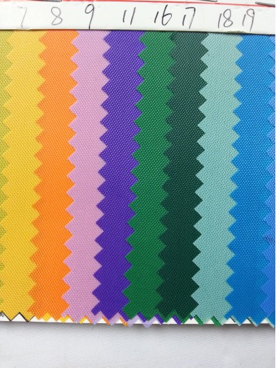 DG-BICG BC-2101 PL   背囊面料 後面照